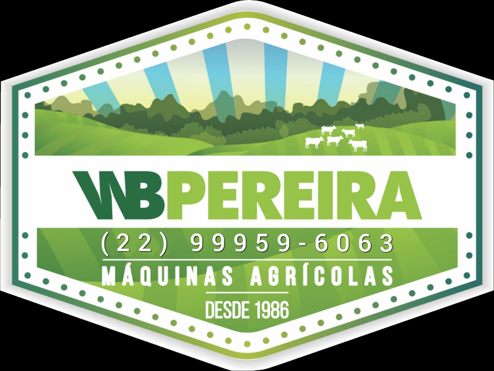 Logo institucional WBPereira